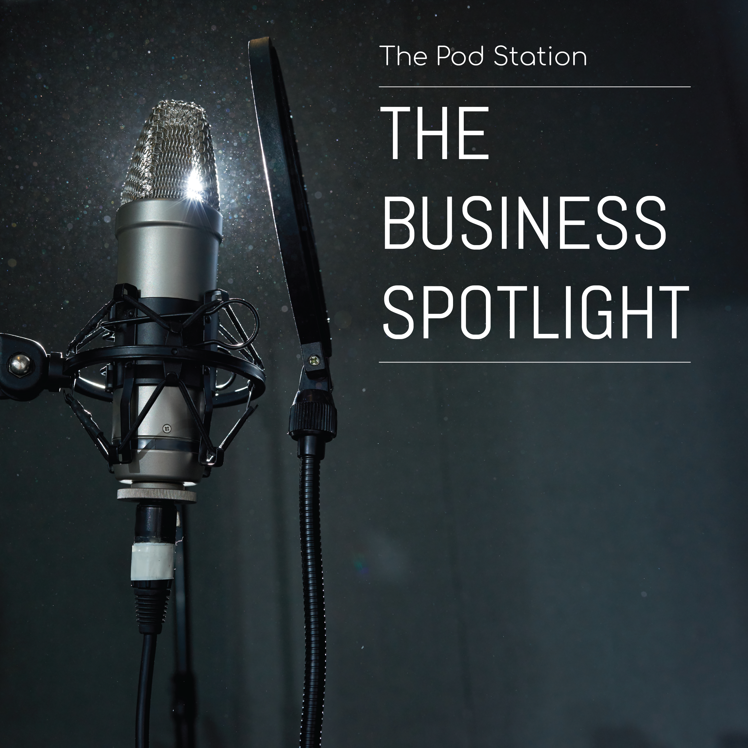 The Business Spotlight